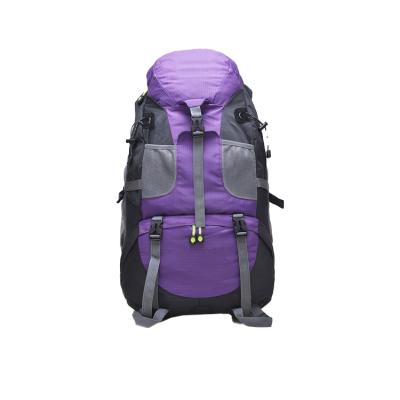 China Factory Price Water Resistant Outdoor Waterproof Camping Hiking Rucksack Travel Rucksack Sports Backpack For Man for sale