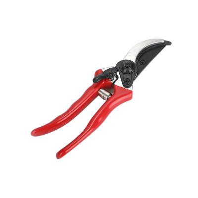 China Modern Shears Pruning Scissors Deflect Shears for Garden Maintenance Ergonomic Handles for sale