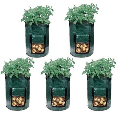 China Plant Growth PE Mushroom Grow Bag 5/7/10 Gallon Root Bag Fermentation Waste Collector Grow Pots PE Plant Bag Grow Bag for sale