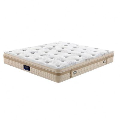 China Hypoallergenic Full Size Affordable Star Hotel Pocket Spring Vacuum Compress Packing Wholesale Mattress for sale