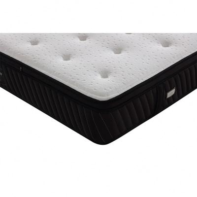 China Queen Size Pocket Spring Band Dark Edge Hypoallergenic Professional Luxury Natural Mattress for sale