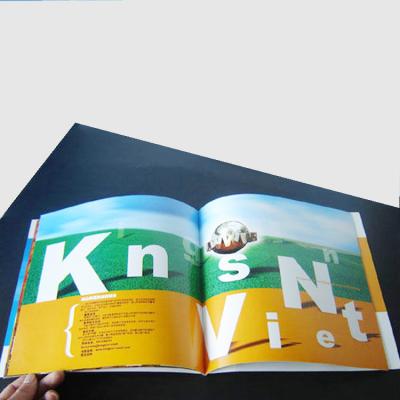 China paper & 2022 high quality hottest printing carton brochure, flyer printing, leaflet printing&booklet with factory price for sale