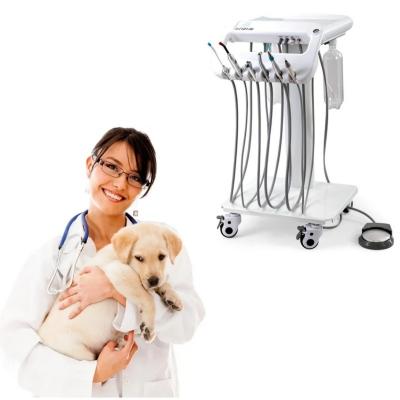 China 1 Year Warranty Vet Dental Treatment Unit Unique Design Mobile Dental Therapy Machine for sale