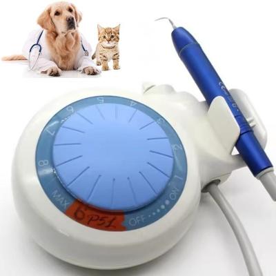 Cina Dispositivo per la pulizia dei denti Dental Ultrasonic Dental Scaler LED Animali domestici Dental Ultrasonic Scaler in vendita