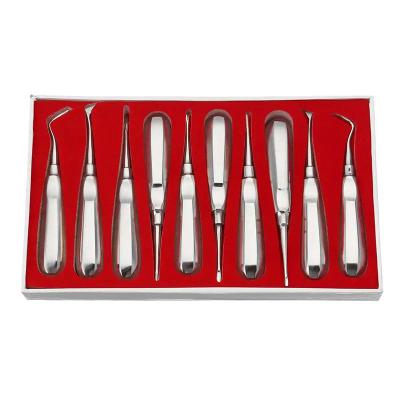 China 10pcs Dental Elevator Kit Dentist Surgical Tools Stainless Steel Dental Root Elevator for sale