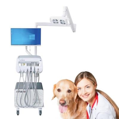 China Factory Animal Dental Operation Trolley Dog And Cat Vet Dental Mobile Cart Pet Teeth Treatment Machine for sale