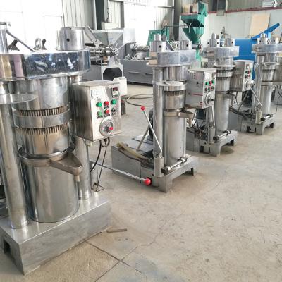 China food & Beverage Factory Hot Sale Product Cold Press Oil Extraction Machine for sale