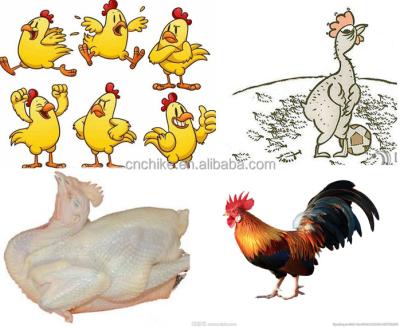 China POULTRY Slaughting Equipment For Chickens / Chicken Plucking Machine / Feathering Machine for sale