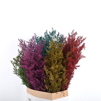 China New Non-Toxic Dry Non-Toxic Flowers Direct Manufacturer Dried Lovergrass Grass For Wedding Decoration for sale