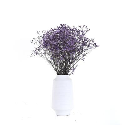 China Wholesale Hot Sale Real and Natural Touch Real and Natural Preserved Flowers Real Dried Flowers Crystal Grass Forget Me Not for Decoration for sale