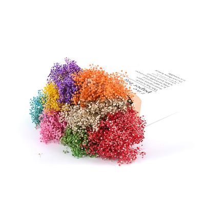 China Wholesale Natural Europe Touch Natural Boreal Style Dry Flower Bouquet Decoration Home Valentine's Day Gift Preserved Babysbreath for sale