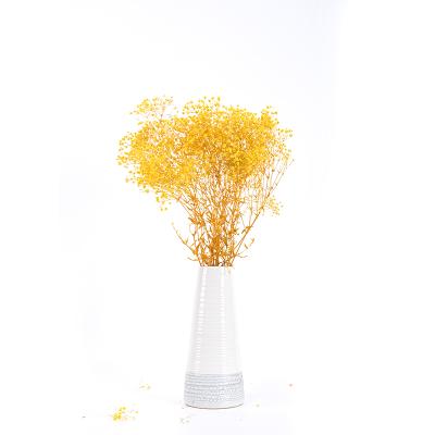 China Natural Plant Supply Touch Touch Wedding Preserved Long Lasting Gypsophila Decorative Flowers Dried Babysbreath for sale