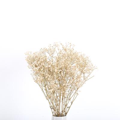 China Wholesale Natural Valentine Gifts Romantic Immortal Flower Christmas Gypsophila Natural Touch Dried Babysbreath for sale