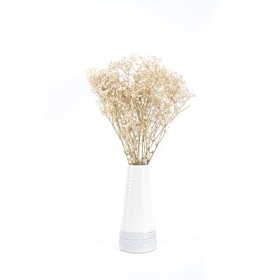 China Natural Touch Wholesale Natural Touch Flower Gift Gypsophila Dried Flower Preserved Bouquet Preserved Babysbreath for sale