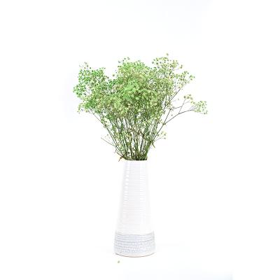 China Wholesale Natural Touch Natural Touch Preserved Flower Dried Gypsophila Flower White Dry Babysbreath Preserved for sale