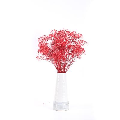 China Home Decor Natural Preserved Babysbreath Gypsophila Touch Dry Natural Touch Flowers for sale