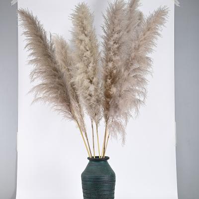 China Europe Festival Gift Flowers Decorative Wedding Europe Pampas Grass Large Long Decorative Pampas Grass Fluffy Feather For Wedding Decoration for sale