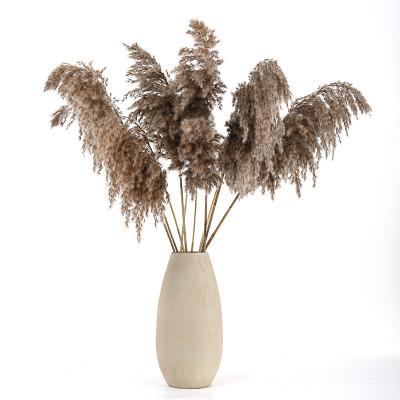 China High Quality Eco - Friendly Decor Natural Dry Artificial Flower Pampas Grass Large Eco - Friendly for sale