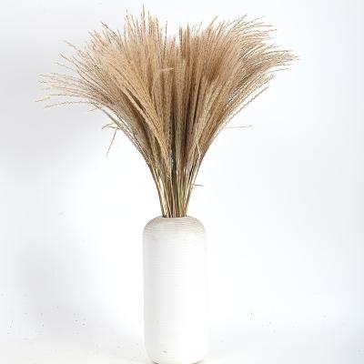 China Wholesale Natural Dry Touch Pampas Grass Ponytail Grass Ponytail Beater Natural Touch Plant For Wedding Decorations for sale