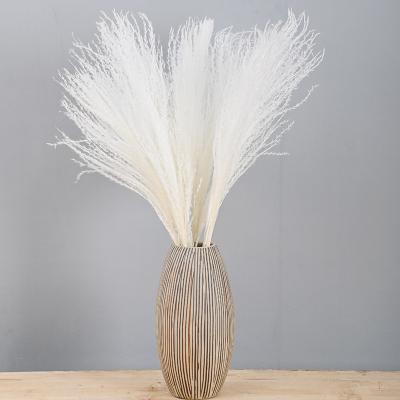 China Hot Selling Natural Touch Dry Natural Preserved Touch Pampas Grass Dry Ponytail Beater For Wedding Home Decoration for sale