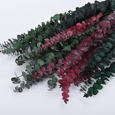 China Hot Wholesale Modern Modern Preserved Small Leaves Red Eucalyptus for sale