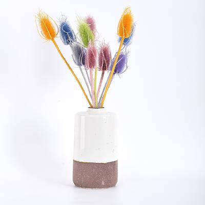 China Eco - Friendly High Quality Colorful Preserved Flowers For Decorate for sale