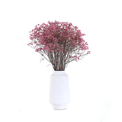 China Real and Natural Contact Wholesale Preserved Real Dry Flower Crystal Grass Forget Me Not Flowers for sale