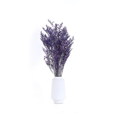 China Hot Sale Wholesale Non-Toxic Stabilized Lovergrass Preserved Unfading Dried Flowers for sale