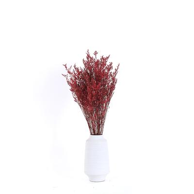 China Hot Selling Wholesale Non-Toxic Preserved Dried Flowers Lovergrass Decorative Flowers For Valentines Day for sale