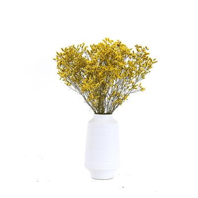 China Hot Selling Real and Natural Touch Dried Flowers Beautiful Crystal Grass Preserved for Wedding Decoration for sale