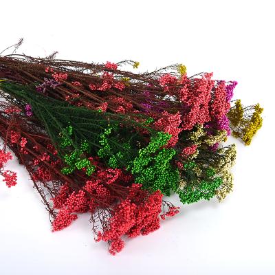 China Touch Natural New Products Dried Flower Bouquet Preserved Rice Flower Millet Flower For Christmas Home Decoration for sale