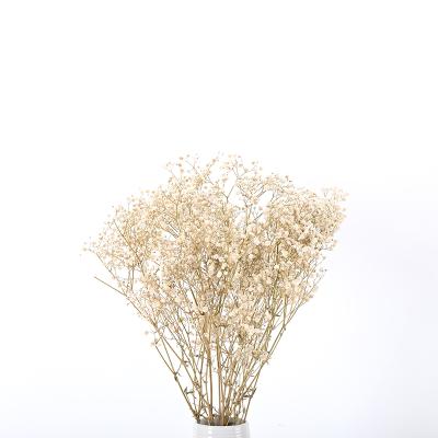 China Natural Touch Hot Selling Gypsophila Wedding Decoration Handmade Dry Babysbreath Flower for sale