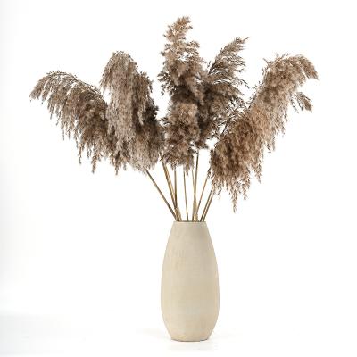 China Wholesale Europe popular preserved flowers natural color dried pampas grass for wedding decor for sale