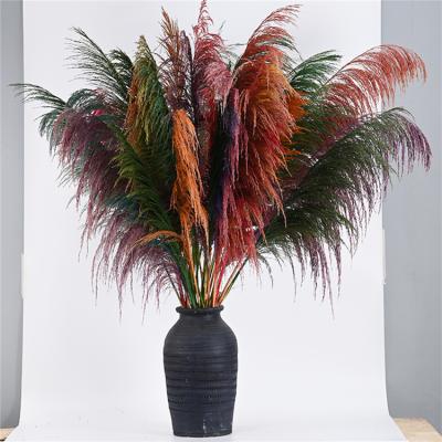 China Eco-friendly Popular Preserved Flowers Wholesale Wedding Home Decoration Dried Pampas Plants for sale