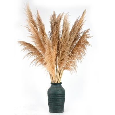 China Nordic Europe New Christmas Decoration Dried Pampas Grass Wedding Decoration for sale