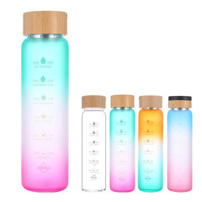 China Leak Proof BPA Free Viable Matte Glass Sport Water Bottle Frosted Glass Water Bottle for sale