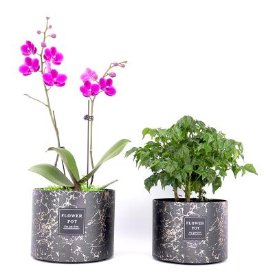 China New Econo Minimalist Planter Custom Luxury Plastic Plant Flower Succulent Flower Pot With Drainage for sale