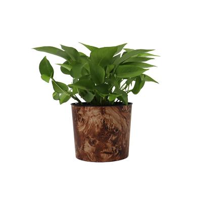 China Econo modern 6 inch plastic flower pot is suitable for decoration flower pots in living room and office for sale