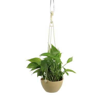 China Modern Hanging Flower Pot Basket Radish Succulent Flower Pot Econo Wholesale 6 Inch Modern Plastic Hanging Railing Green 600pcs for sale