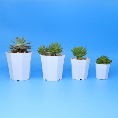 China Minimalist Econo Customized Modern Minimalist Style 3 4 4.5 5.5inch Plastic Plant Succulent Pot White for sale