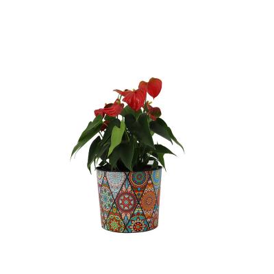 China Modern personalized realistic home decor flower pots wholesale plastic flower pots, plastic modern planting balcony for sale