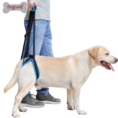 China Garness Sustainable Dog Support Blue 4 Size Dog Support Harness for sale