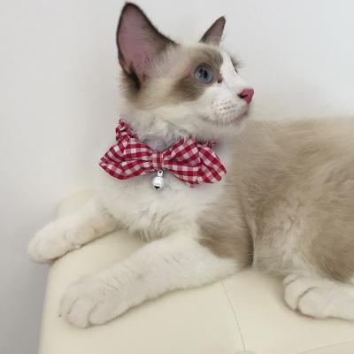 China Designer Cat Viable Adjustable Detachable Bow Tie Collar, Thoughtful Bell Fashion Delicate Collar Cat for sale