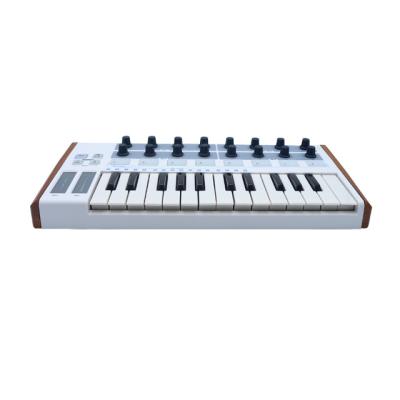 China New Style Durable USB MIDI Keyboard Controller OEM 25 Keys Custom Keyboard for sale