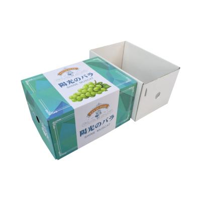 China Two Recyclable - In - A Fresh Corrugated Cardboard Kiwi Apple Fruit Packing Paper Box for sale