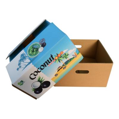 China Logo Printing Recyclable Cardboard Coconut Recyclable Custom Packing Corrugated Shipping Cardboard Box Fruit Packing Box for sale