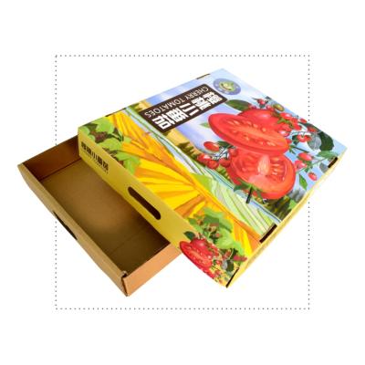 China Custom Logo Printing Recyclable Cardboard Tomato Shipping Corrugated Fruit Packing Box for sale