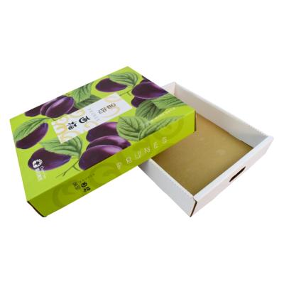 China Recyclable Customized Packing Box Plum Printing Recyclable Cardboard Corrugated Fruit Packing Box for sale