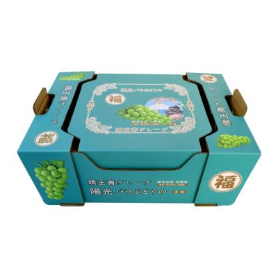 China Recyclable Grape Paper Packing Factory Customized Rectangular Corrugated Box Green Cardboard Display Box Fruit Packing Box for sale