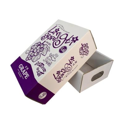 China Recyclable Custom Logo Printing Recyclable Cardboard Shipping Grape Boxes Fruit Packaging Corrugated Paper Box for sale